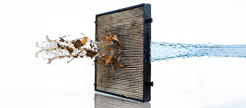 Dolphin Quantum Dirty NanoFilter