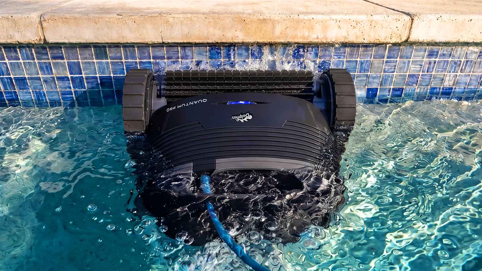 Dolphin Quantum Dual HyperBrush Scrubbing