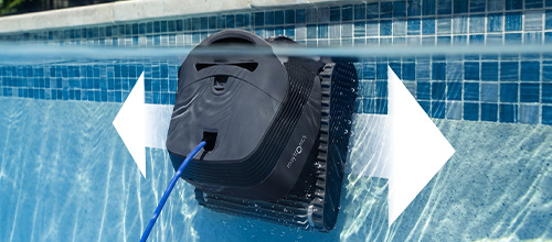 Dolphin Quantum Waterline Cleaning