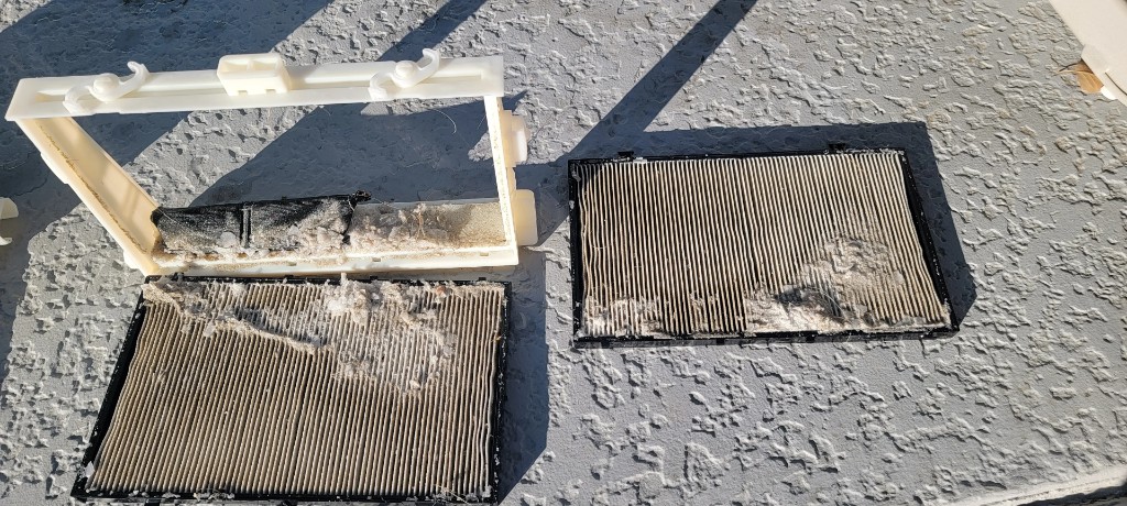 Andrea Price's Dolphin Sigma filter after cleaning