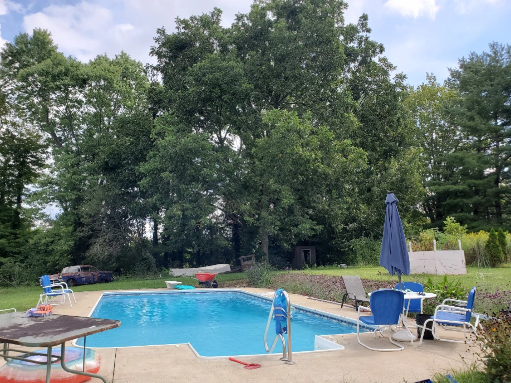 Customer's backyard pool cleaned by Dolphin Premier